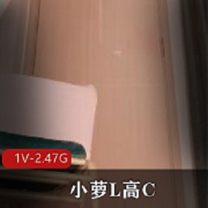 高能P潮自拍视频剪辑18分钟2.47G小萝LP身材玲珑道具使用